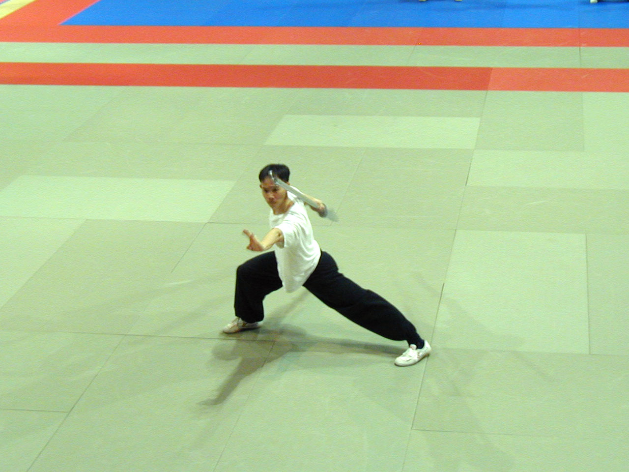 066_Wushu