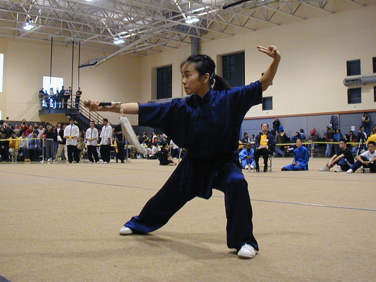 040_Wushu