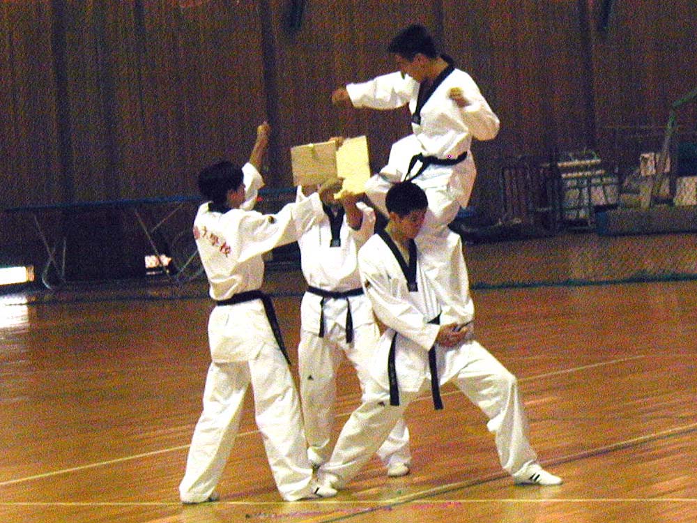 065_tkd_demo