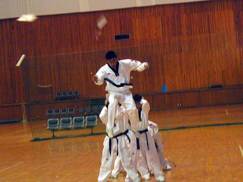 070_tkd_demo